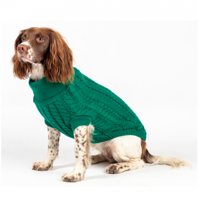 The Rascal Dog Jumper in Green